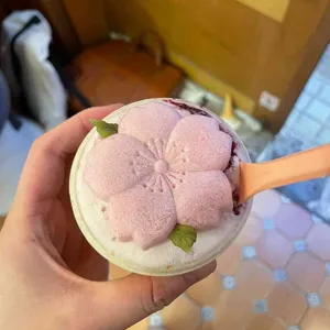 녹기 전에 낱점 사진