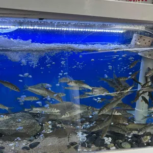 남한강물고기 송파점 리뷰 사진