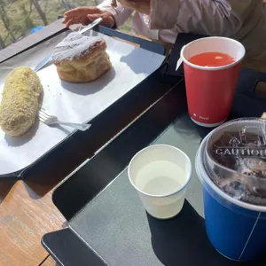 셀럽 사진 2