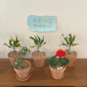 채식주의자의 무화과 리뷰 사진