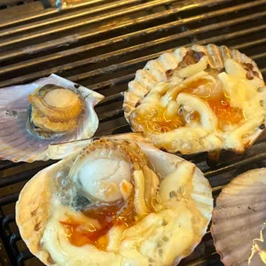 수원무한조개 사진