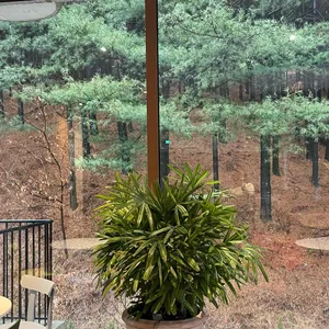 공간태리 리뷰 사진