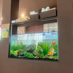 몽상가옥 리뷰 사진