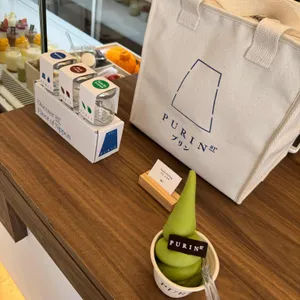 푸린 사진