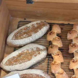 침착하고 느린손 사진