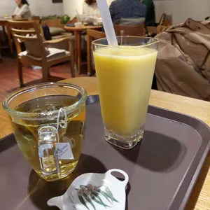 빈플래토 사진