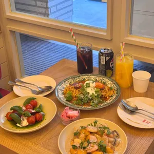 브리비트 사진