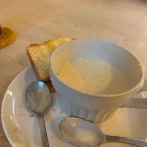 보리수 사진