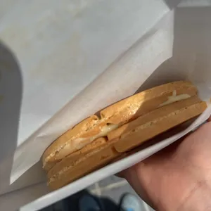 와플대학 부산수영캠퍼스 사진