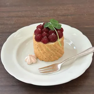 백일몽 사진