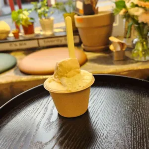 녹기 전에 낱점 사진