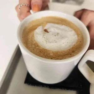콘드 사진