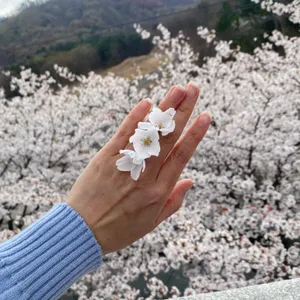 무무도 리뷰 사진