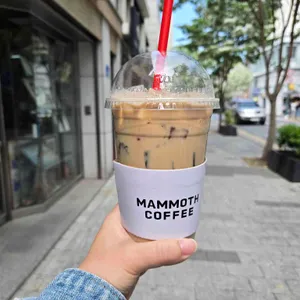 매머드익스프레스 사진