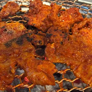 펭귄네 사진