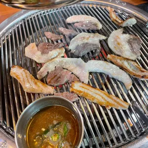공작흑돼지 사진