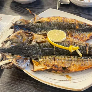 새벽집 사진
