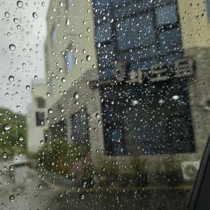 화도담 리뷰 사진