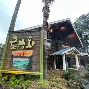로빙화 리뷰 사진