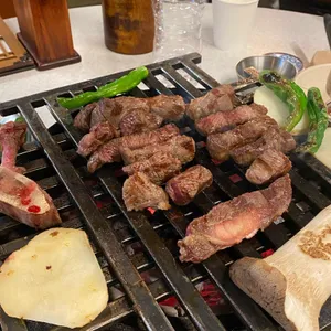 백송 사진