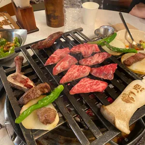 백송 사진