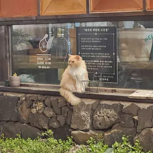 사계골목집 리뷰 사진