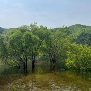 로스가든카페앤비노 리뷰 사진