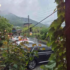 트리인블루 리뷰 사진