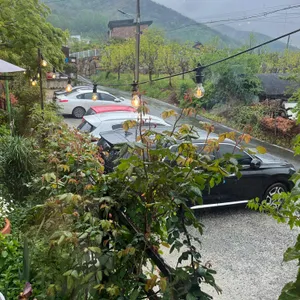 트리인블루 리뷰 사진
