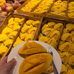바이킹스워프 사진