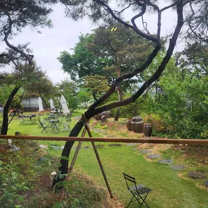 안포레 리뷰 사진