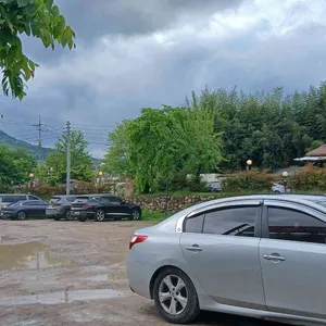 약선흑염소 리뷰 사진