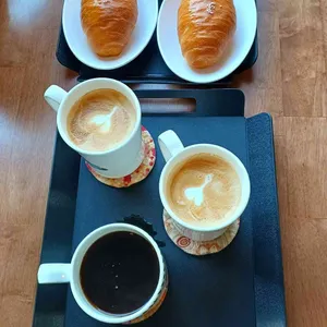 흰당나귀 사진