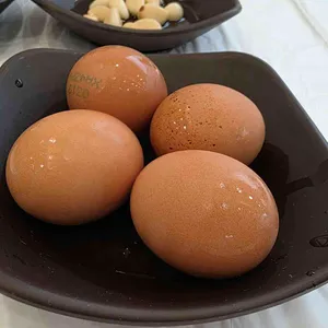 항아리 누룽지 백숙 사진