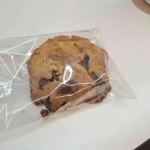 몬스터비스킷 사진