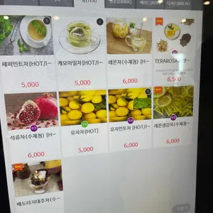 테라로사 디판테온 리뷰 사진