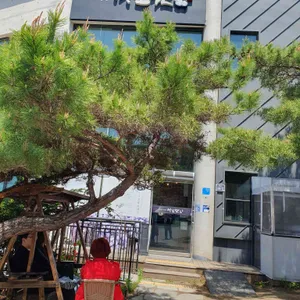 미꼬담 리뷰 사진