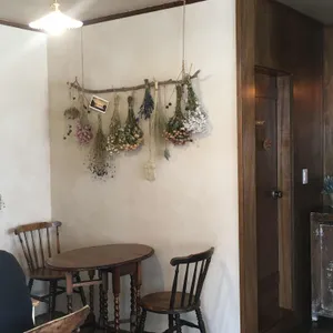 컬리폭스 리뷰 사진