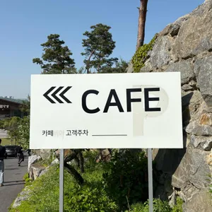 위스테리아 리뷰 사진