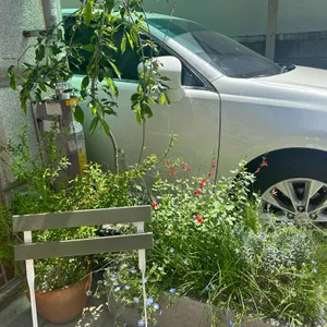 커들러스커피 리뷰 사진