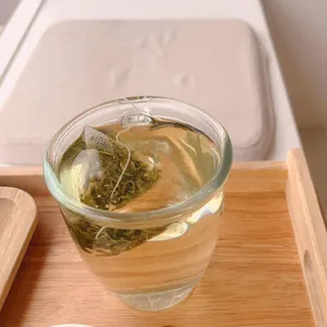 밤톨 사진