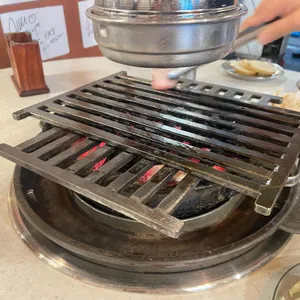 백송 사진