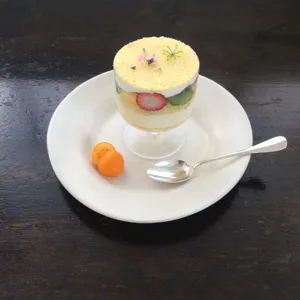 백일몽 사진