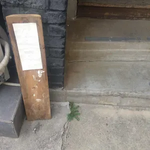 흰 산책 리뷰 사진