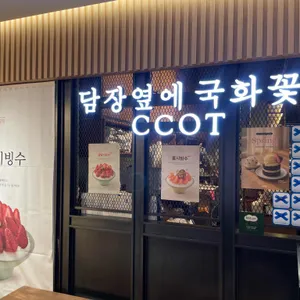 담장옆에국화꽃 리뷰 사진