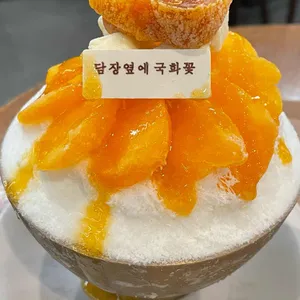 담장옆에국화꽃 사진
