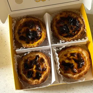 플래닛타르트 사진