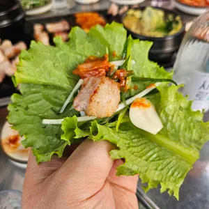 마포갈매기 사진