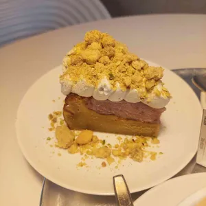 시너리 사진