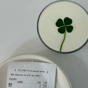 인커브 사진